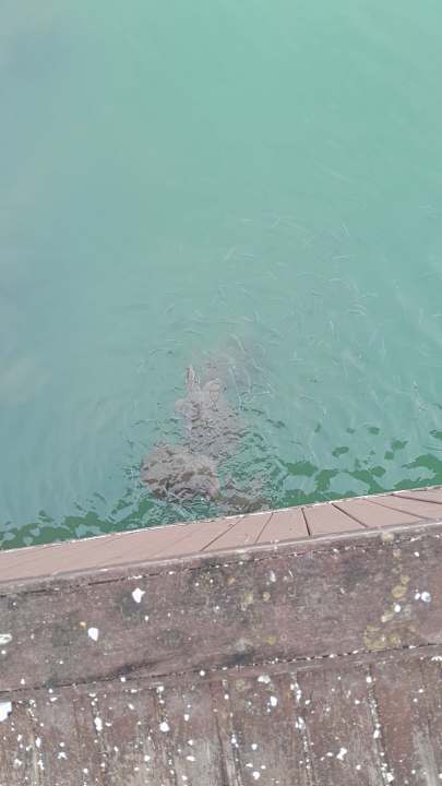 Sonstiges Sentido Trendy Verbena Beach