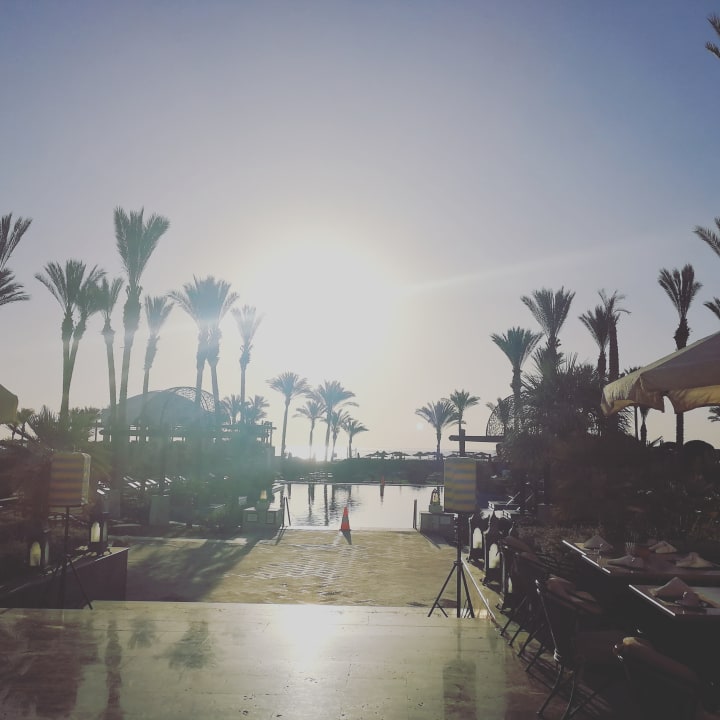 Pool Pickalbatros Palace Hotel-Port Ghalib