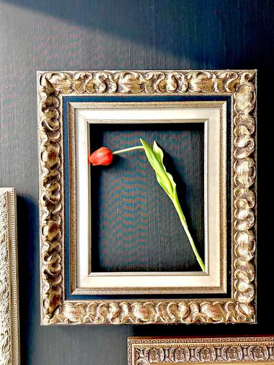 Gastro Hotel Francisco I