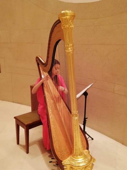 Sport & Freizeit Hotel Harbour Grand Hong Kong