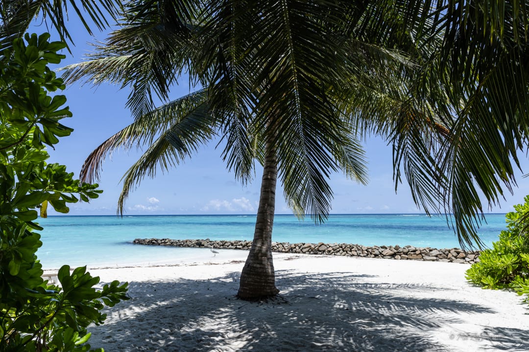 Strand Summer Island Maldives