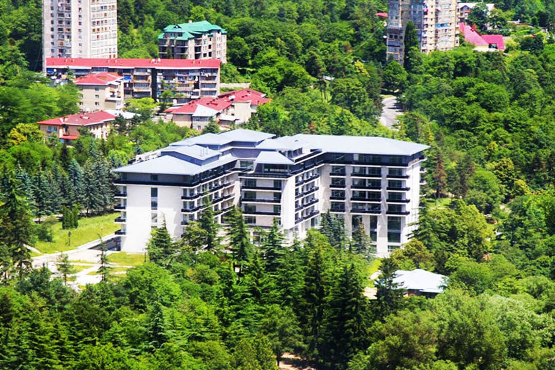 Overwiew Borjomi Likani