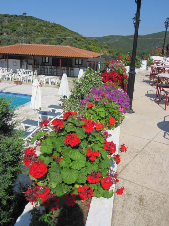Anastasias flowers Hotel Paradise