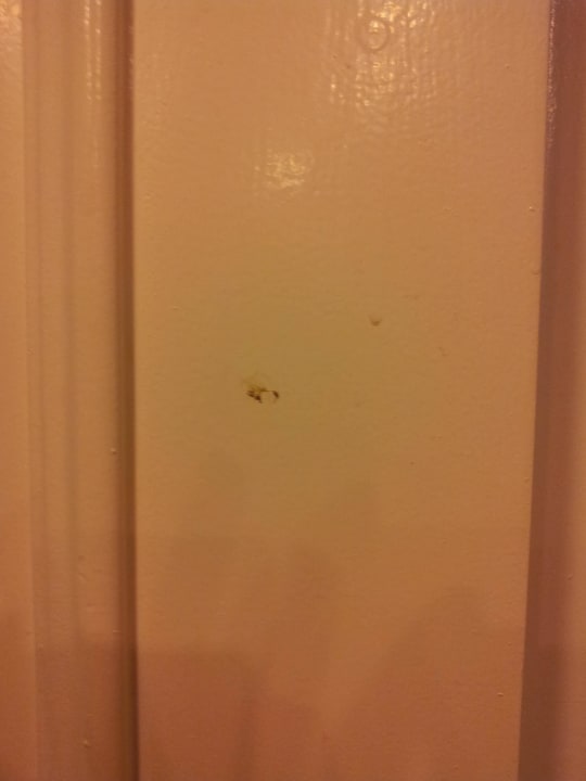 Flecken an den Türen Desert Rose