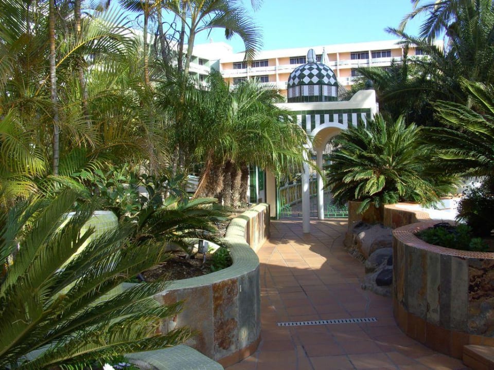 Vor dem Hotel Abora Buenaventura by Lopesan Hotels