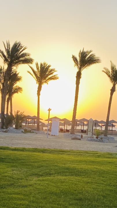Strand Pickalbatros Sands Hotel - Port Ghalib