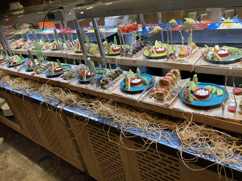 Gastro Seashell Vega