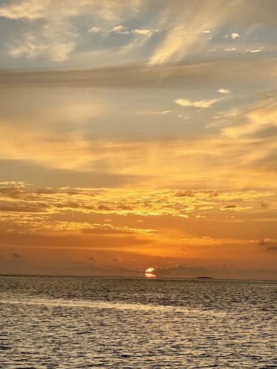 Ausblick Vilamendhoo Island Resort & Spa