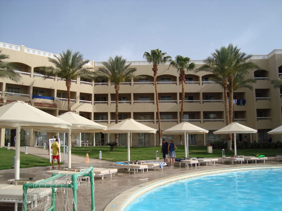 Pool Beach Albatros Resort