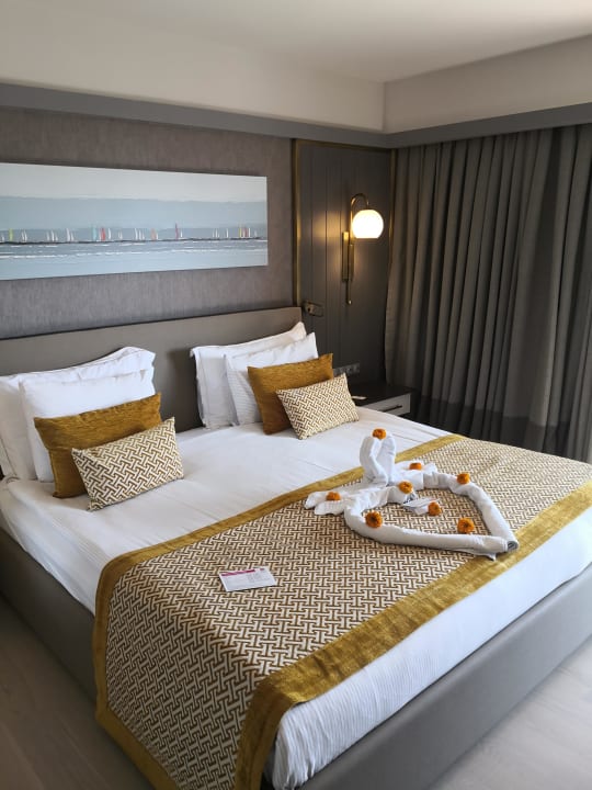 Zimmer Arum Barut Collection