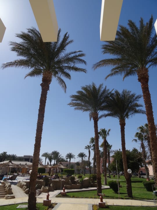 Gartenanlage Beach Albatros Resort