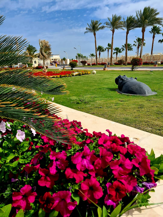 Außenansicht Pickalbatros Aqua Vista Resort - Hurghada