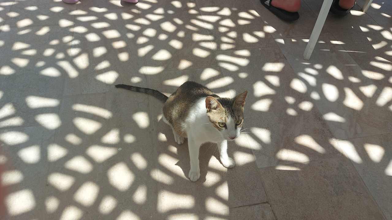 Außenansicht Mahdia Beach & Aquapark