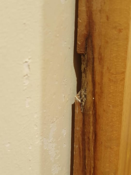 Zimmer Pickalbatros Dana Beach Resort - Hurghada