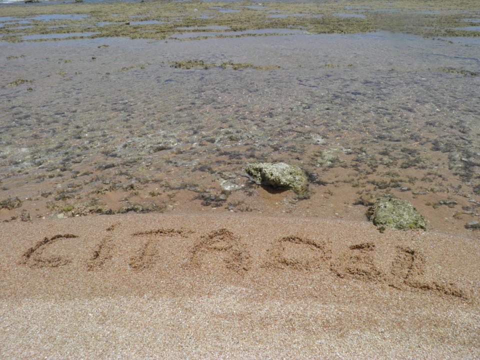 Citadel in the sand  Pickalbatros Citadel Resort