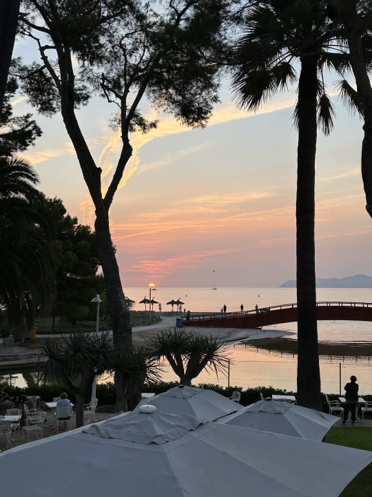 Ausblick allsun App.-Hotel Orquidea Playa