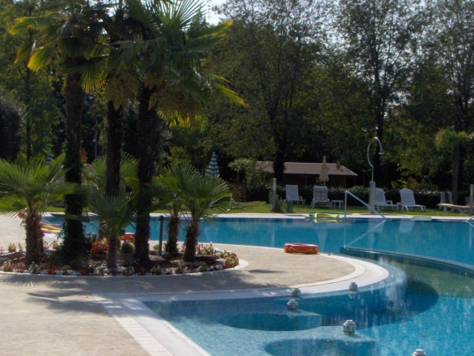 Poolbereich Hotel Harry's Garden