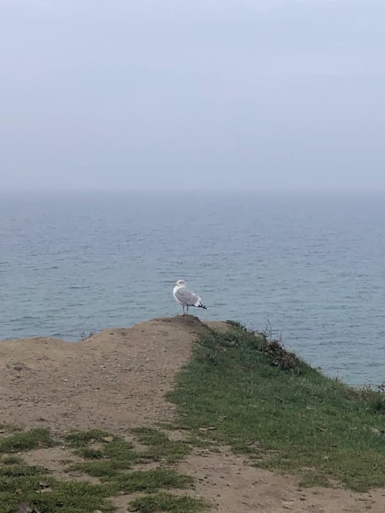 Sonstiges Ostseehotel Wustrow