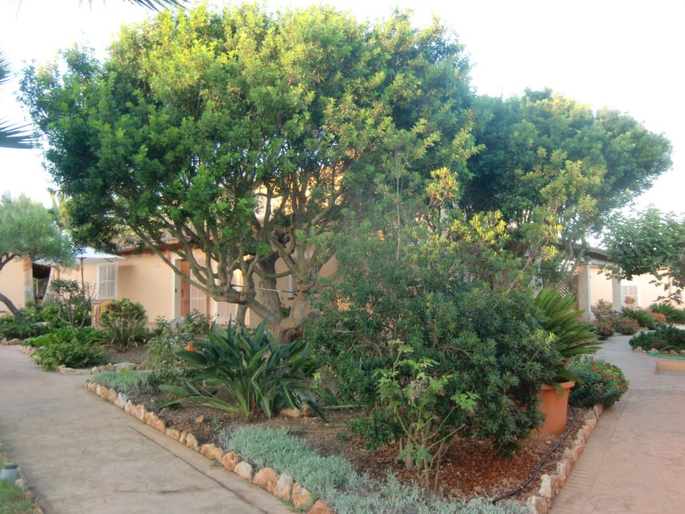 Anlage rund um das Haupthaus Finca Ses Rotes Velles