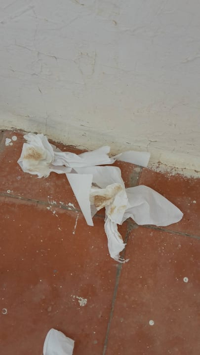 Hm lecker benutztes Toilettenpapier auf dem Flur Royal Karthago Djerba