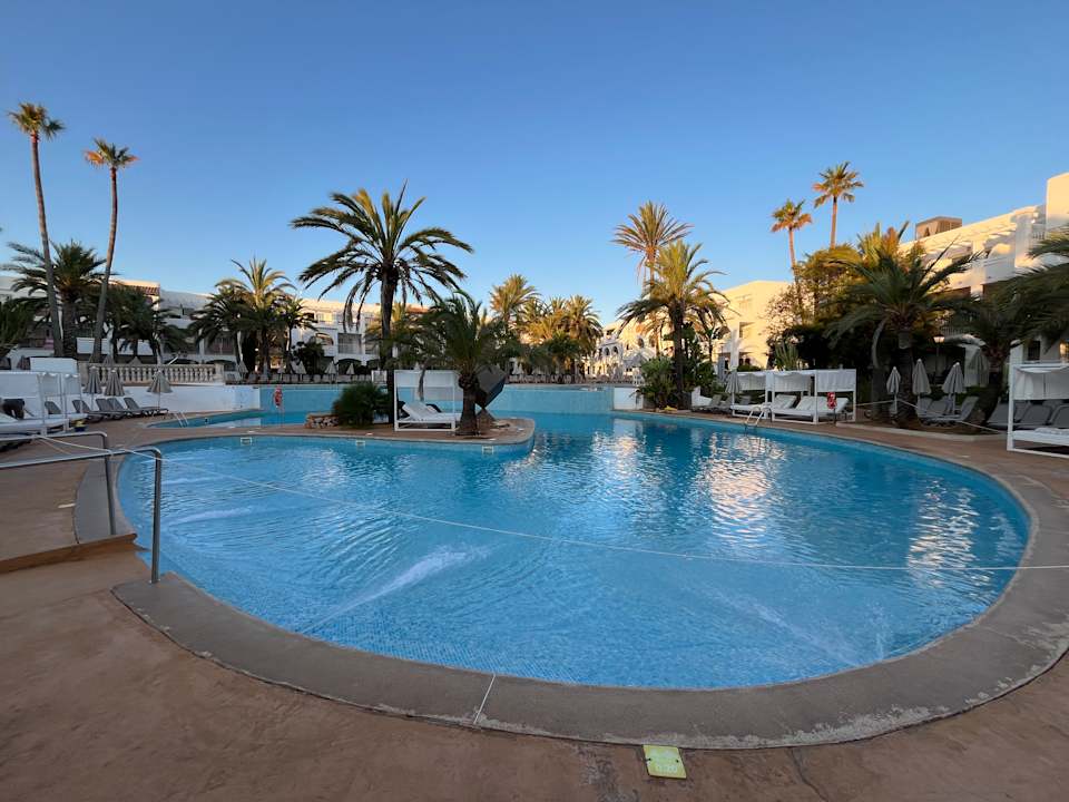 Pool Calimera Fido Gardens