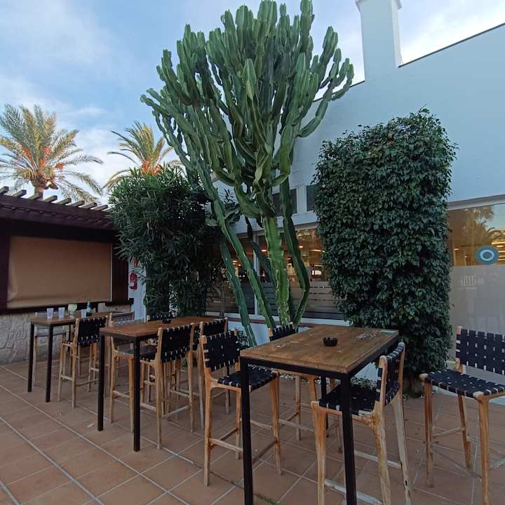 Pool FERGUS Style Bahamas