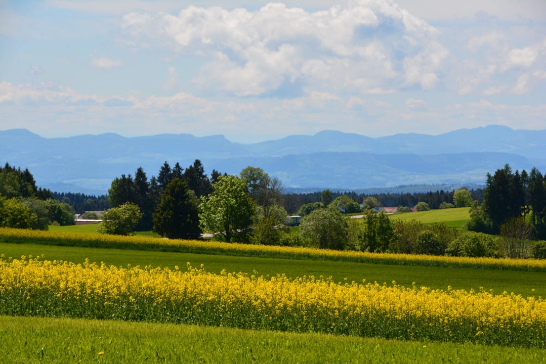 Blick in die Schweiz... Portens Fernblick