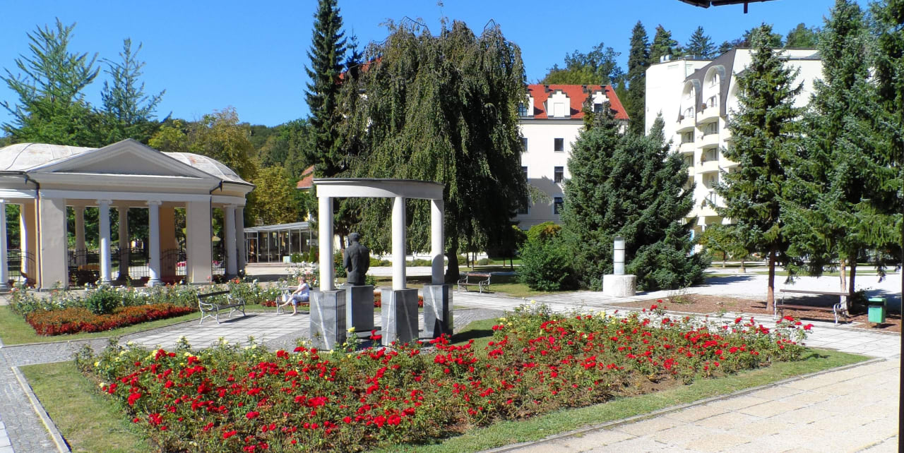 Вид из лечебного корпуса Grand Hotel Rogaška Komfort