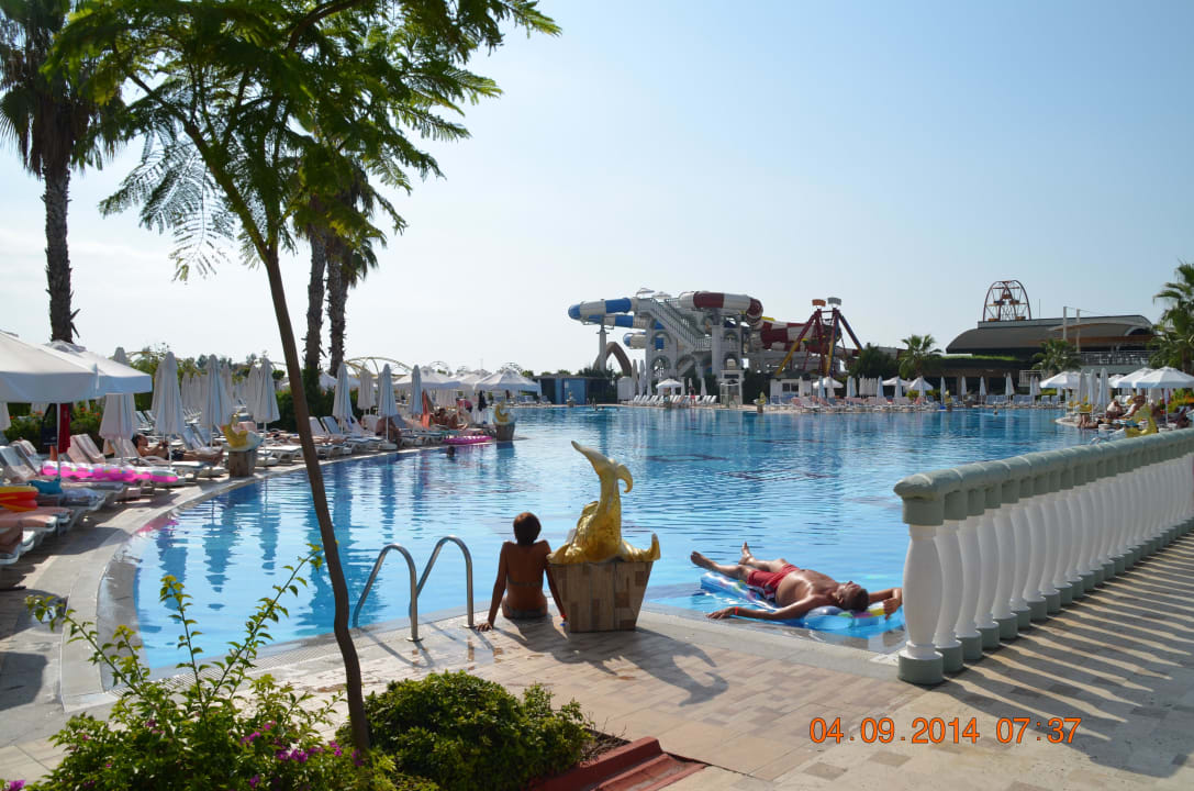 Pool Hotel Delphin Imperial
