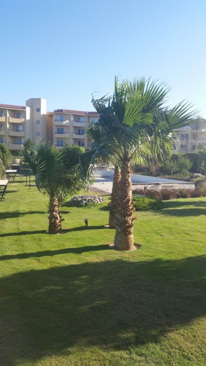 Schöne Palmen Amwaj Beach Club Abu Soma Resort