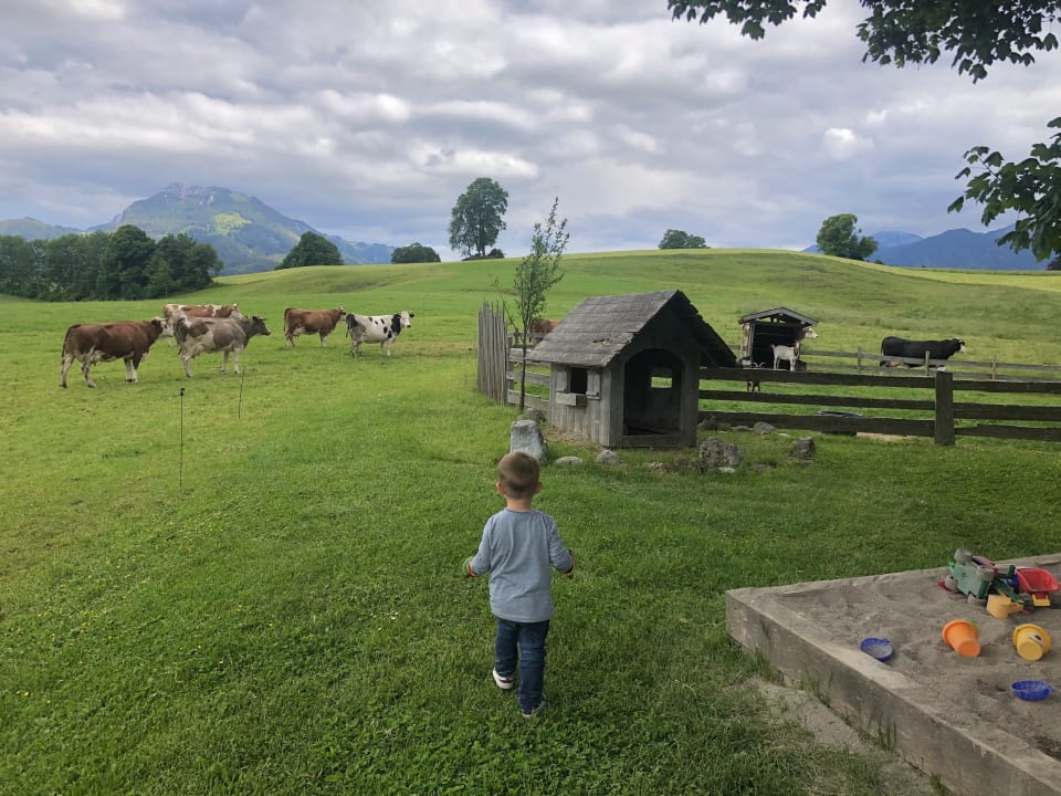 Gartenanlage Hof Gottenau