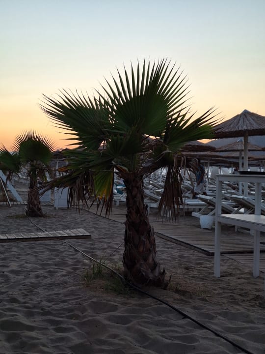 Strand Anemos Luxury Grand Resort