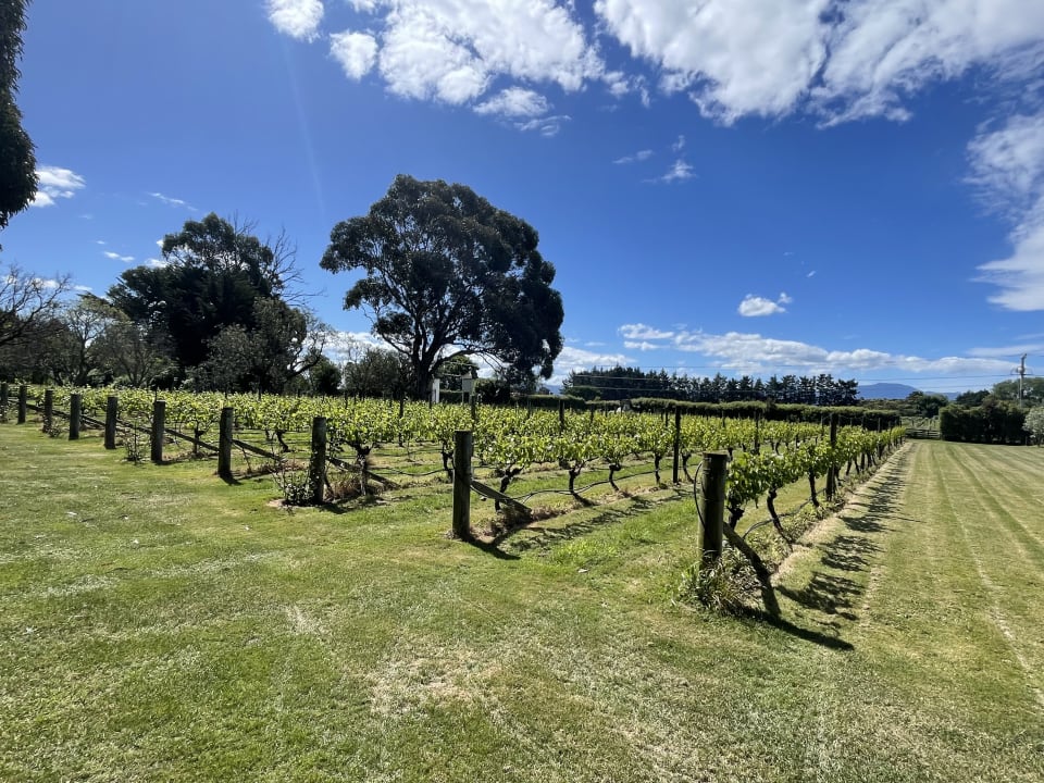 Gartenanlage Hotel The Peppertree