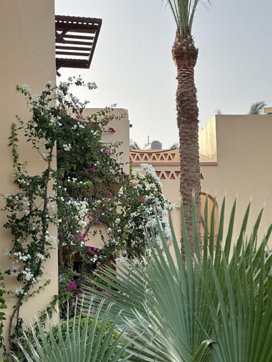 Gartenanlage Steigenberger Coraya Beach - Adults only