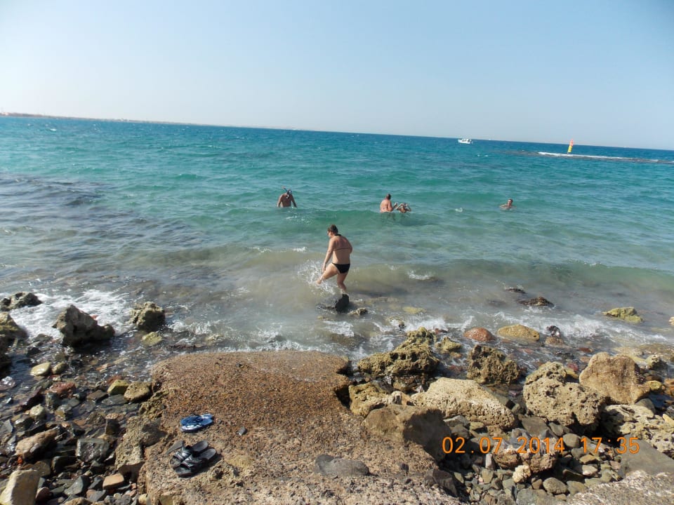 Море Desert Rose