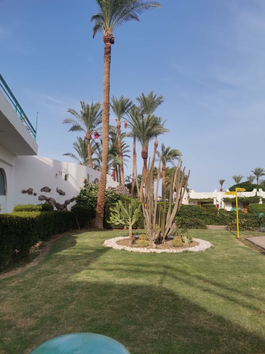 Gartenanlage Shams Safaga Resort