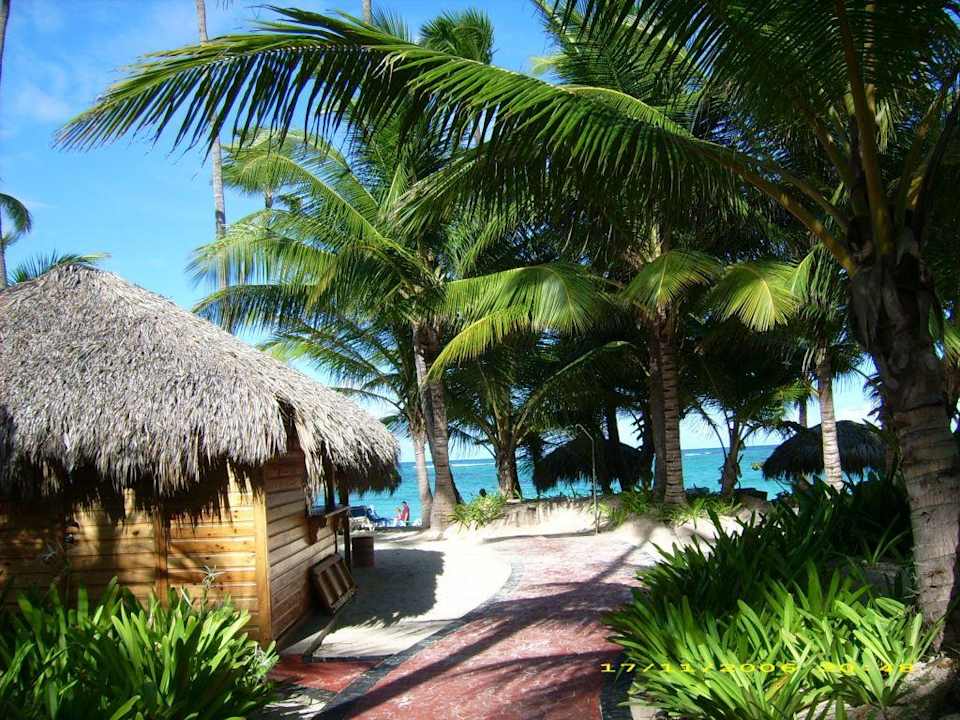 Weg zum Strand mit Strand-Bar Hotel Grand Palladium Palace Resort, Spa & Casino