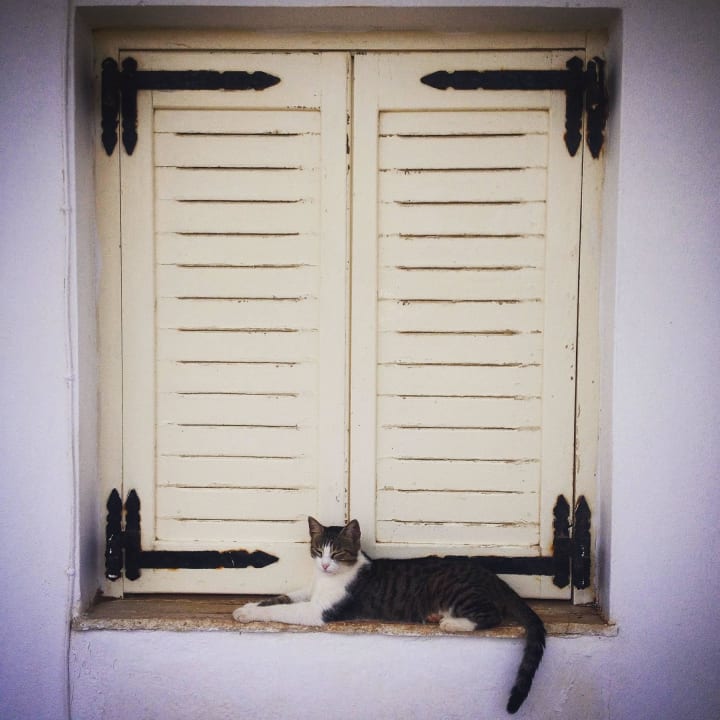 Aparthotel Kasapakis Kasapakis Hotel & Apartments