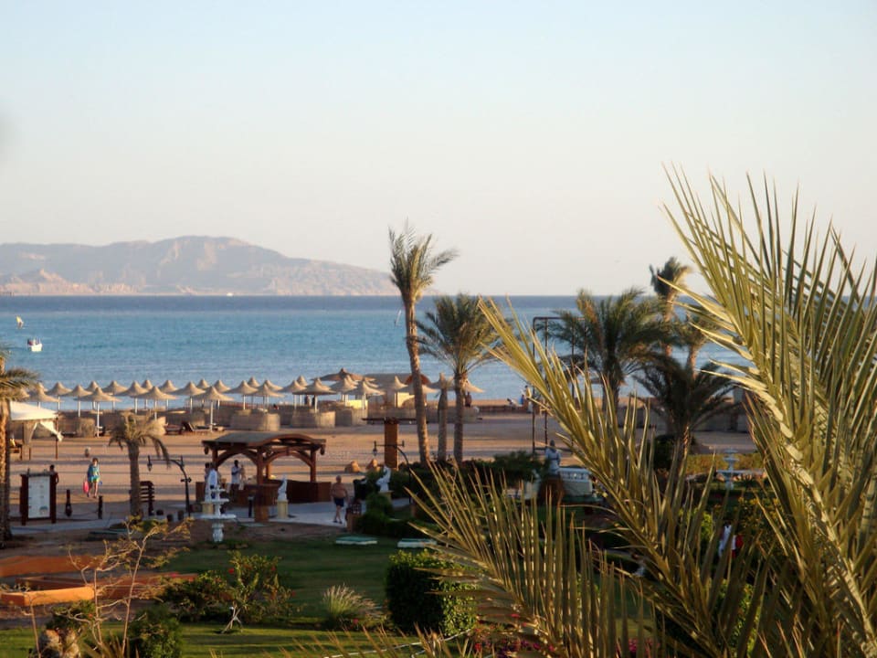 Blick aus dem Balkon - Zimmer Regency Plaza Aqua Park & Spa