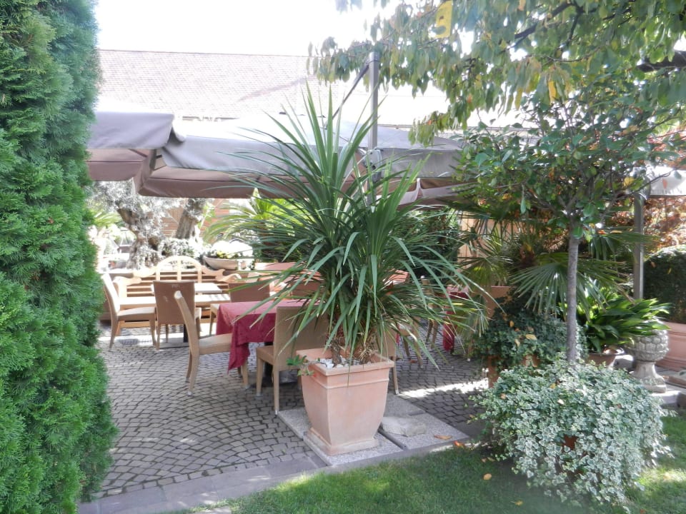 Garten HOTEL TRAUBE