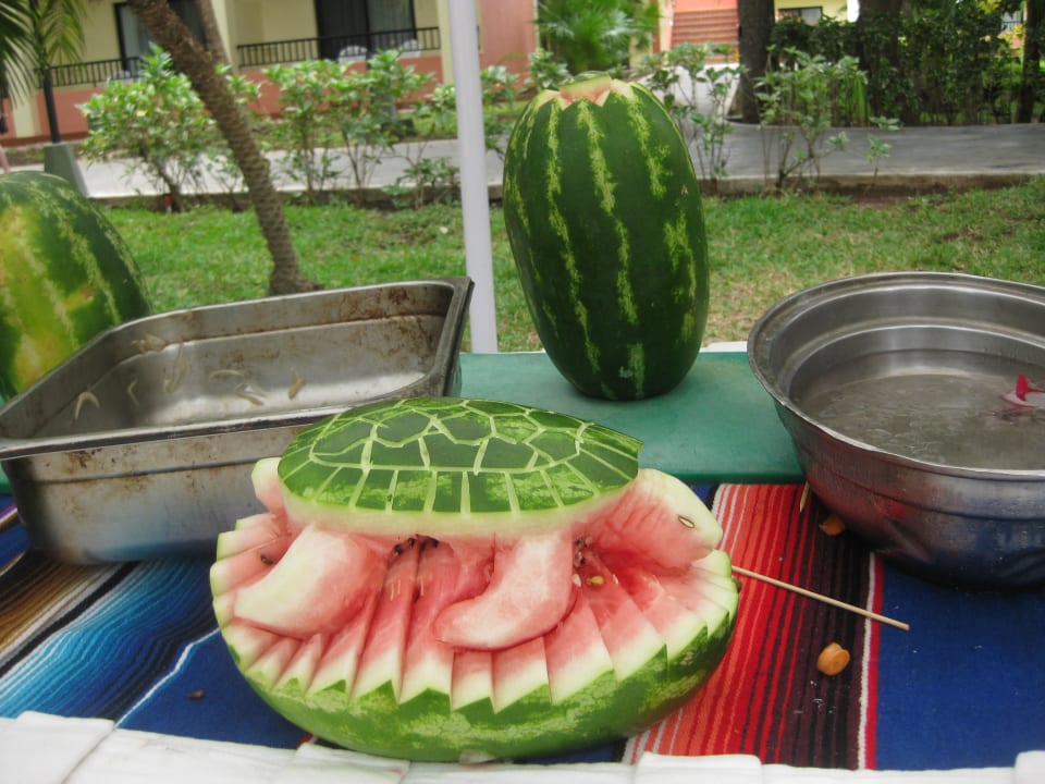 Melonen Künstler Hotel Riu Tequila