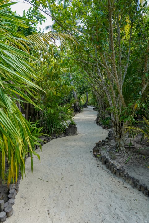 Gartenanlage Raja4divers Resort