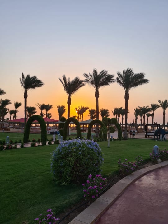 Außenansicht Pickalbatros Palace Resort