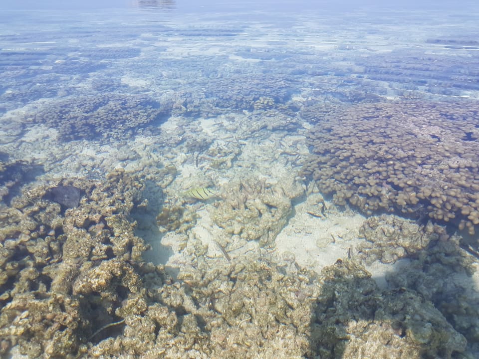 Strand Adaaran Select Hudhuran Fushi - Premium All Inclusive