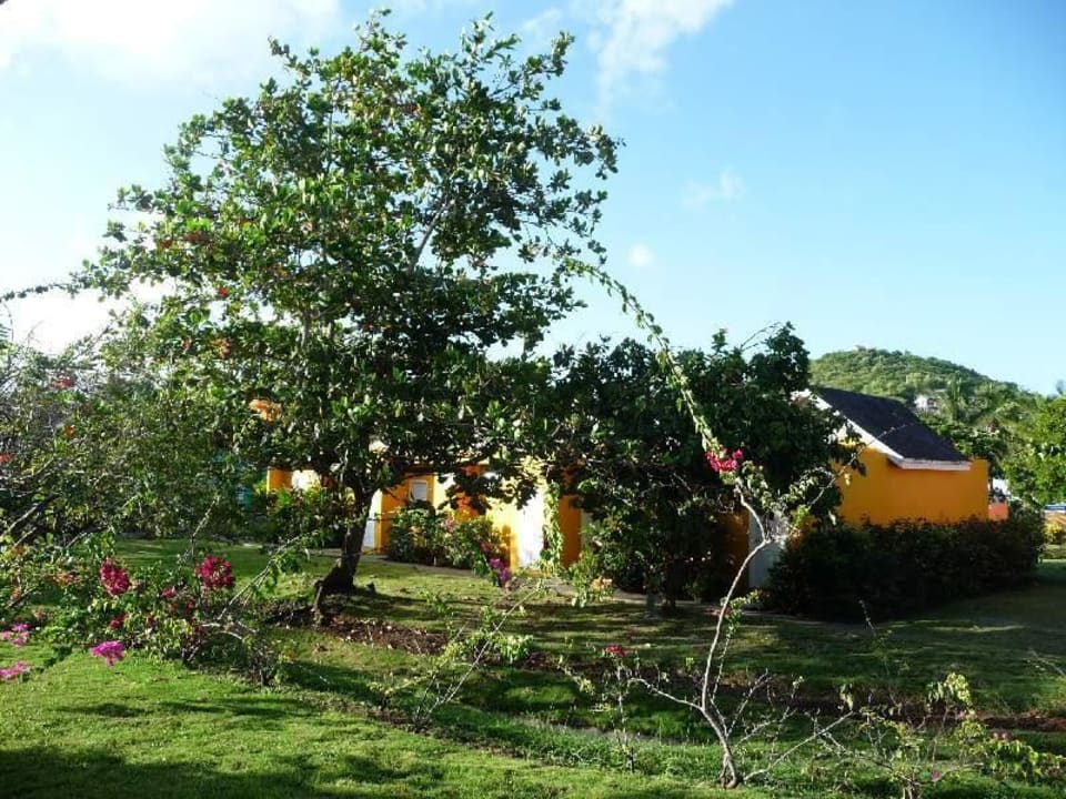 Garten Royalton Saint Lucia Resort & Spa