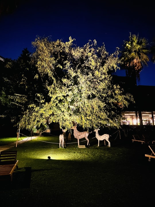 Gartenanlage Barut Hemera