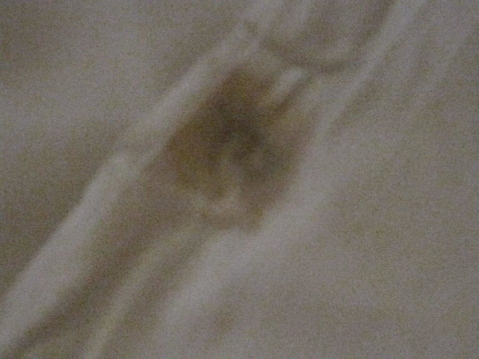 Braune Flecken im Bett Hotel Aktinia