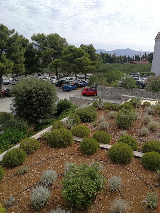 Ausblick Aminess Vival Casa Velaris