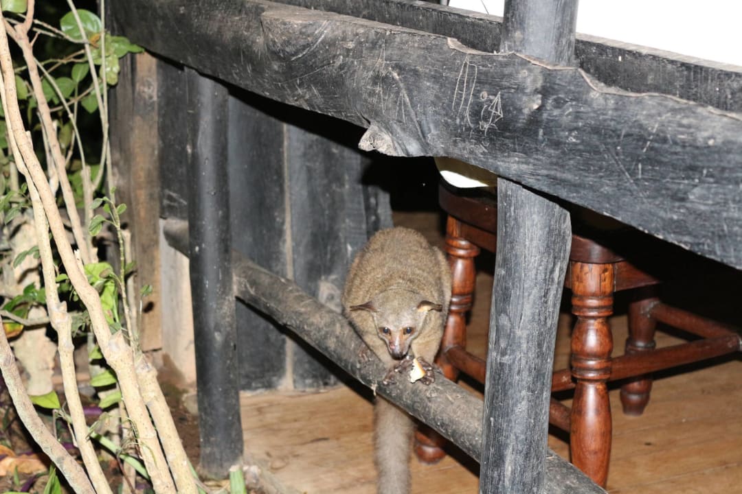 Sonstiges Shimba Hills Lodge