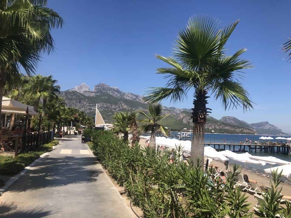 Gartenanlage Crystal Flora Beach Resort